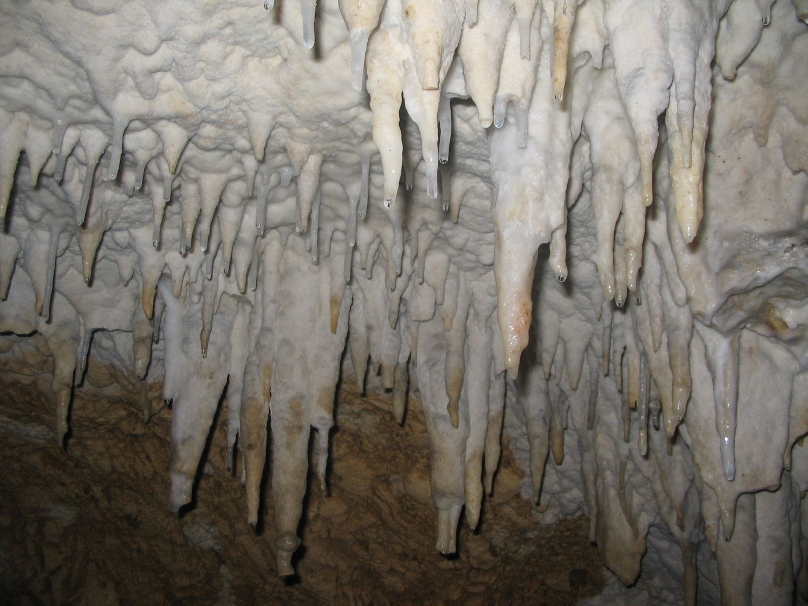 Stalaktiti