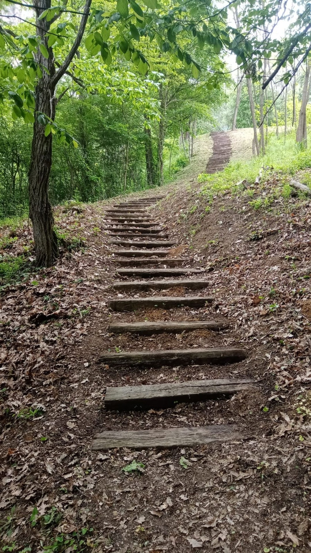 Staze i stepenice u prirodi