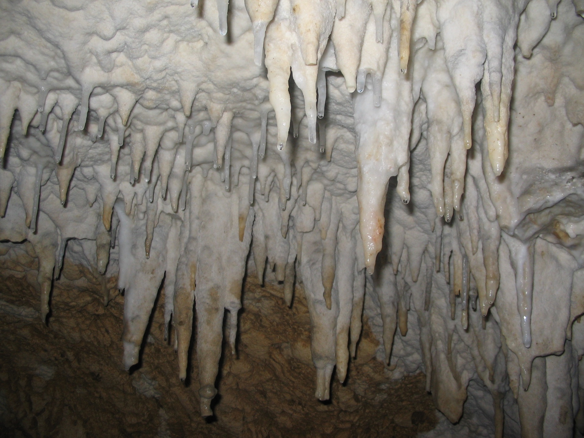 Unutrašnjost Dubočke pećine